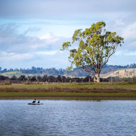 Blackwood Park Cottages Mole Creek Экстерьер фото