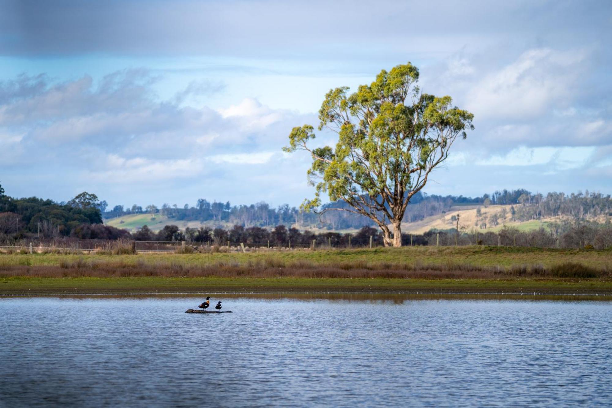 Blackwood Park Cottages Mole Creek Экстерьер фото