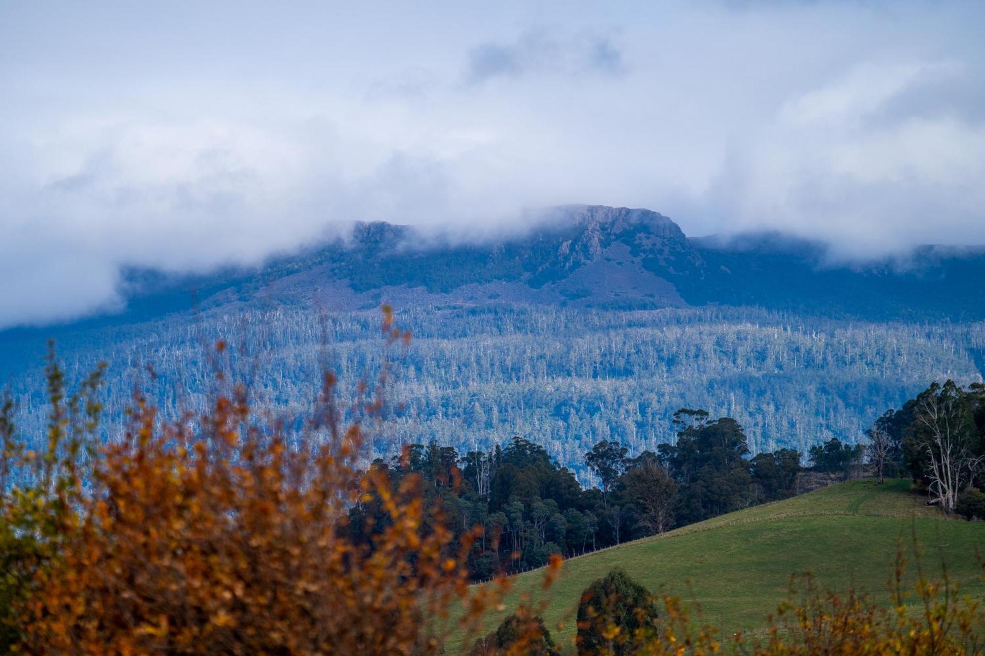 Blackwood Park Cottages Mole Creek Экстерьер фото